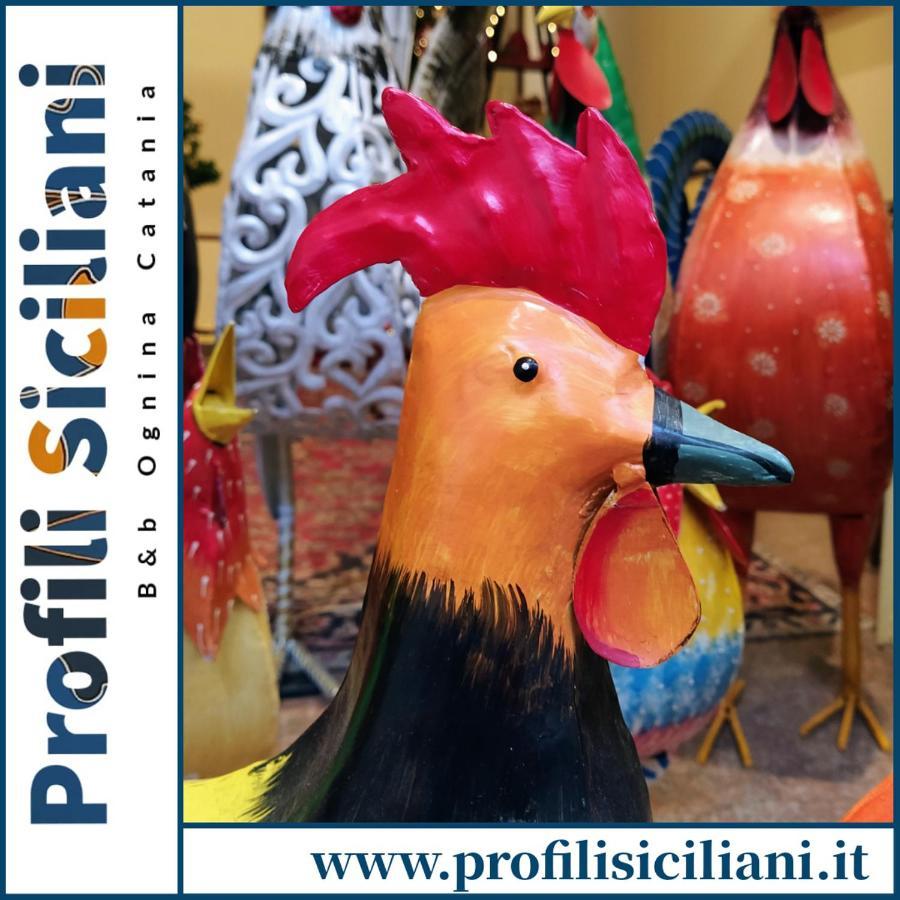 Profili Siciliani B&B Ognina Aeroporto di Catania Fontana Rossa Esterno foto
