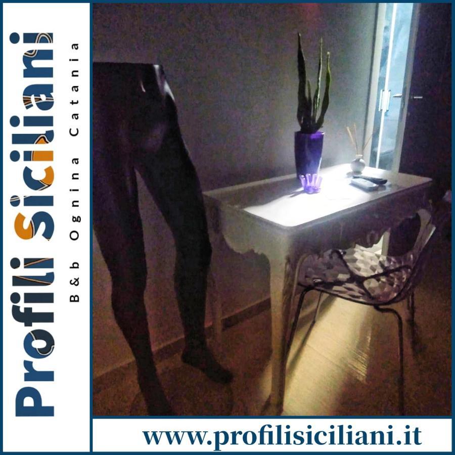 Profili Siciliani B&B Ognina Aeroporto di Catania Fontana Rossa Esterno foto