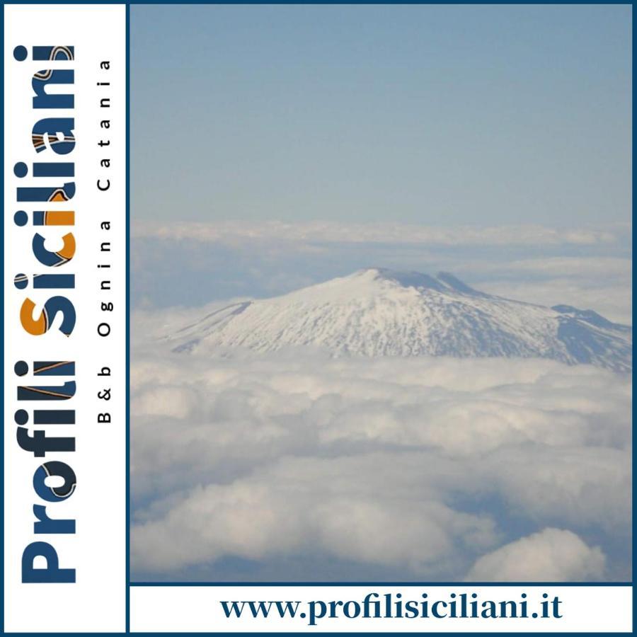 Profili Siciliani B&B Ognina Aeroporto di Catania Fontana Rossa Esterno foto